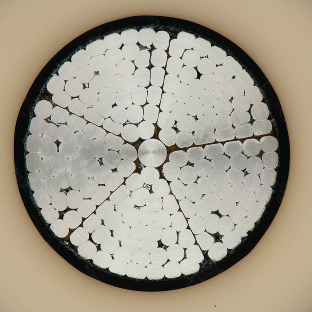 Conducteur d'aluminium isolé XLPE avec fils de cuivre pour câble d'alimentation souterraine étanche