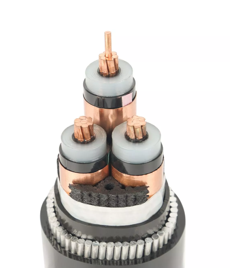 Câbles d'alimentation AC